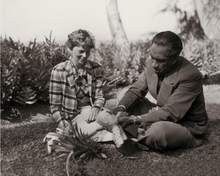 Load image into Gallery viewer, Black and white photograph of Amelia Earhart shares a freshly peeled pineapple while sitting on the grass with Duke Kahanamoku.