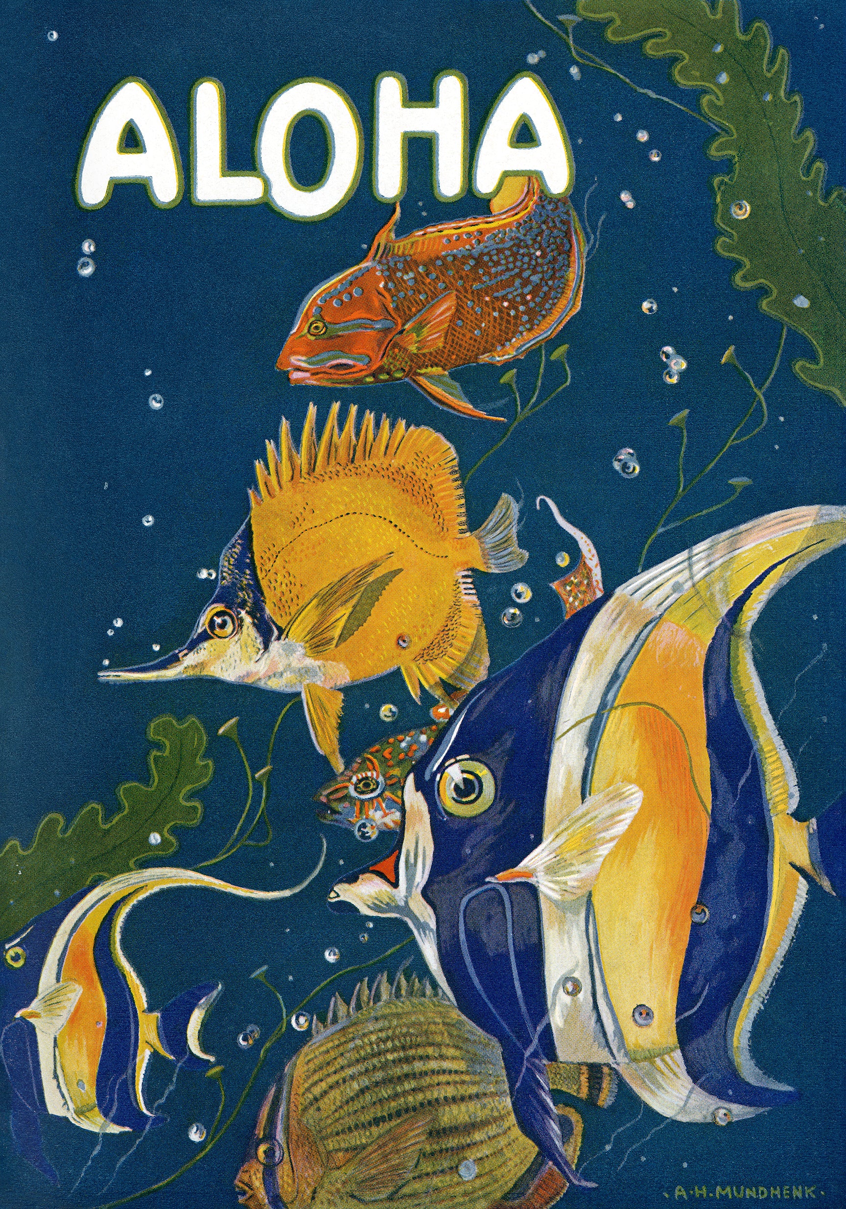 Aloha, Tropical Fish, 1920