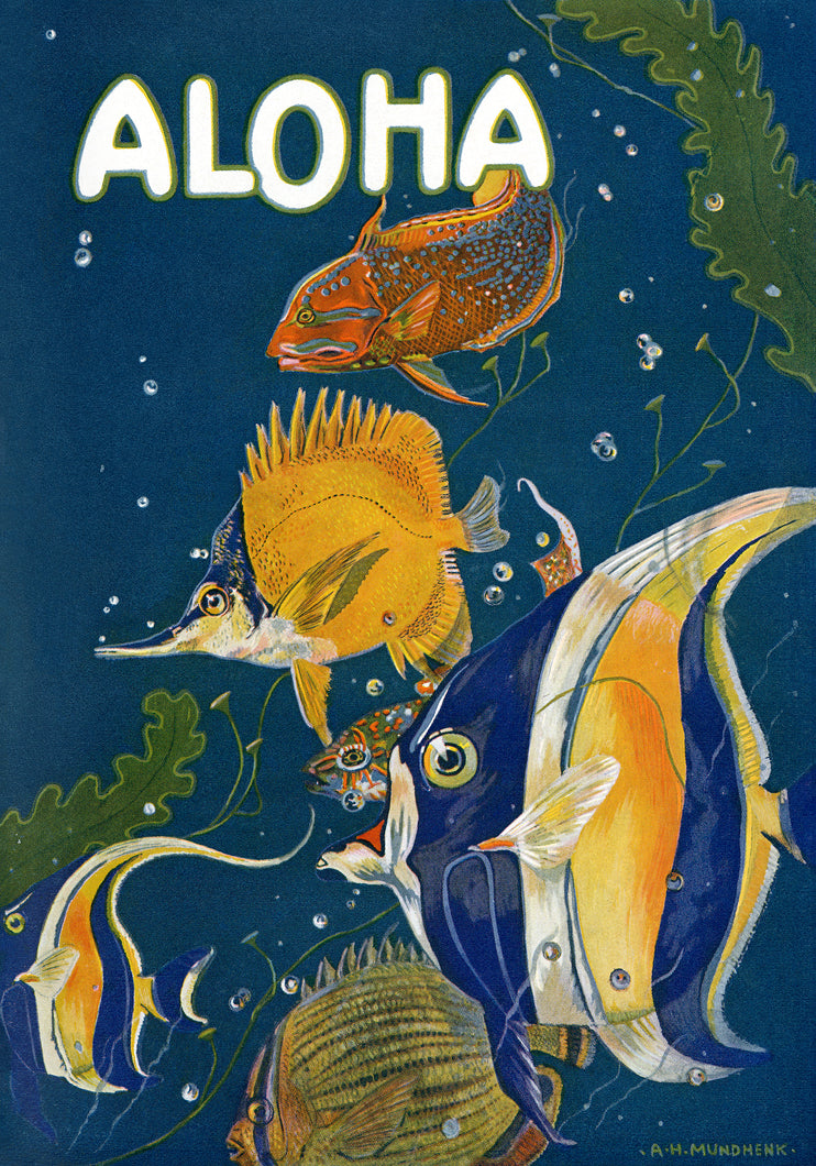 Illustration of various fish with 'Aloha' text on a blue background