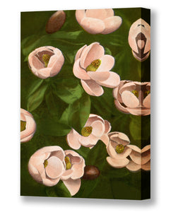 Hawaiian Magnolia Flowers