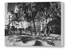 Load image into Gallery viewer, Royal Hawaiian Coconut Palms, 1950s