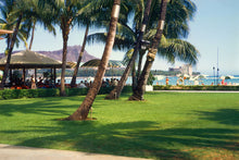 Load image into Gallery viewer, Lush green lawn with palm trees and a view of the ocean and mountains.