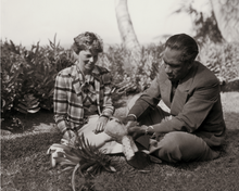 Load image into Gallery viewer, Black and white photograph of Amelia Earhart shares a freshly peeled pineapple while sitting on the grass with Duke Kahanamoku. 