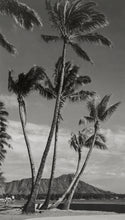 Load image into Gallery viewer, Waikiki Palm Trees and Diamond Head