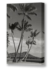 Load image into Gallery viewer, Waikiki Palm Trees and Diamond Head