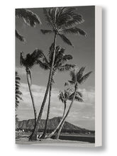 Load image into Gallery viewer, Waikiki Palm Trees and Diamond Head