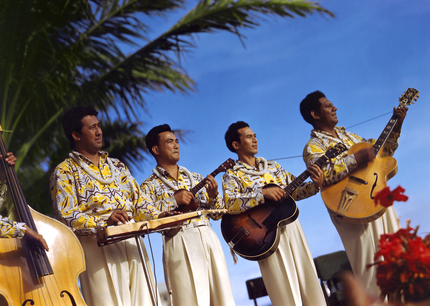 Color photograph of musicians and playing their instruments outdoors. 5 instruments and 4 musicians are pictured. 4 men wearing white pants and matching patterned shirts and leis under a blue sky with a palm tree in background to the left.